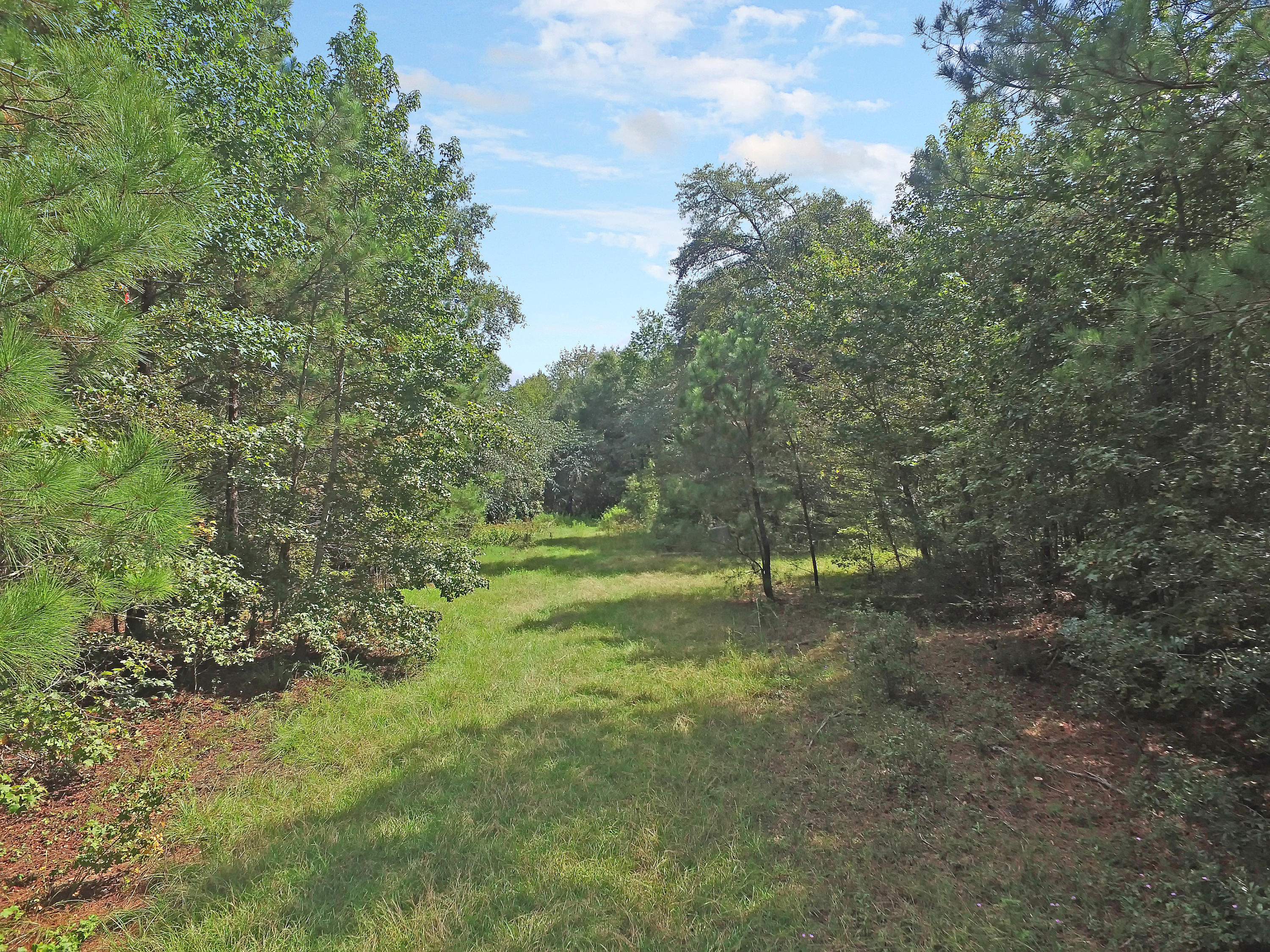 Cleared Homesite