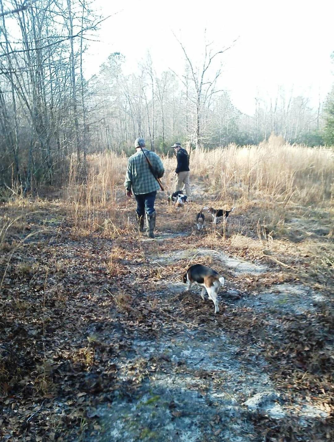 Great for Hunting