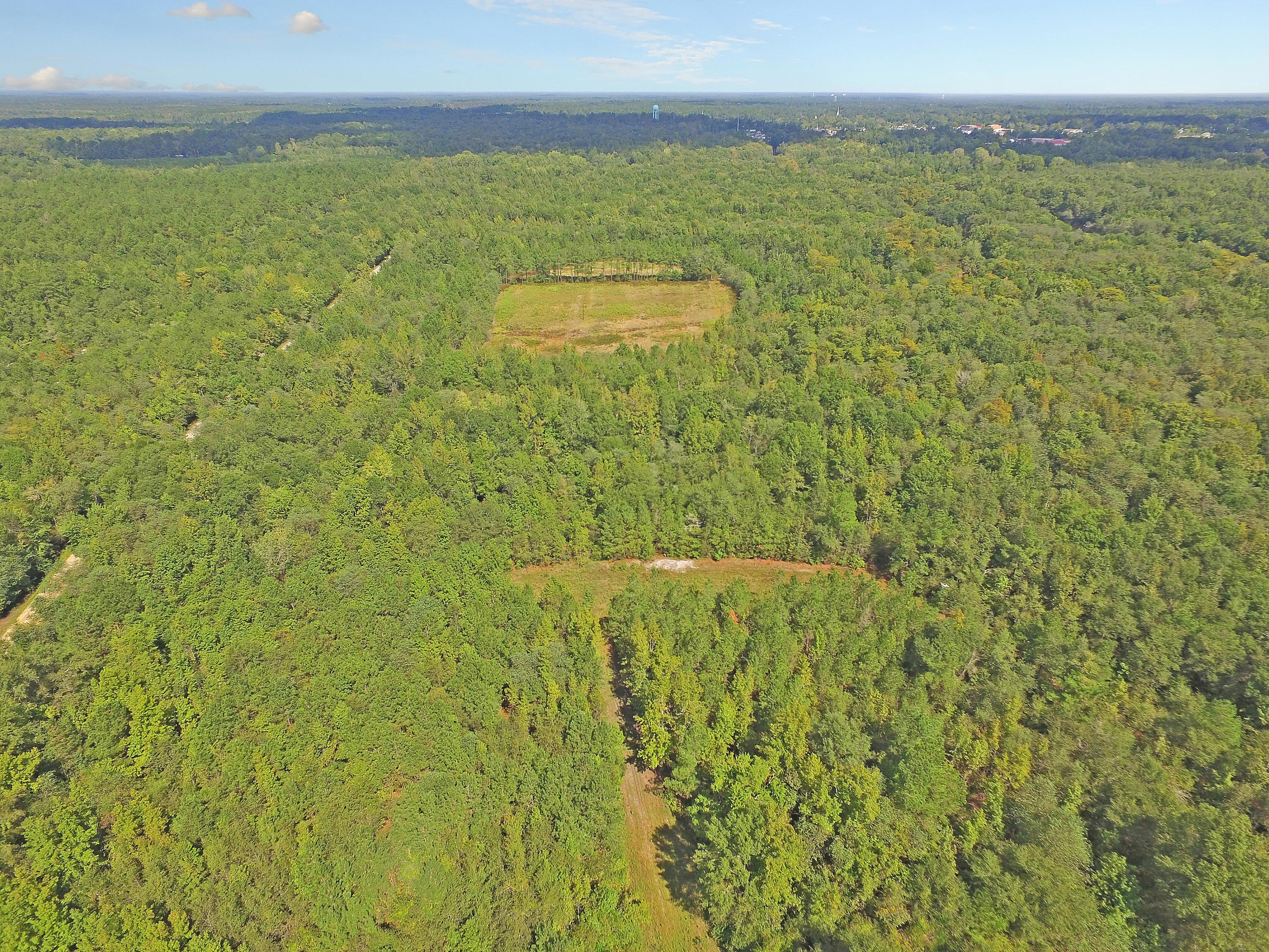 505 Dutch Neck Road Kingstree, SC 29556 - Photo 8 of 28 Amazing Hunting Grounds
