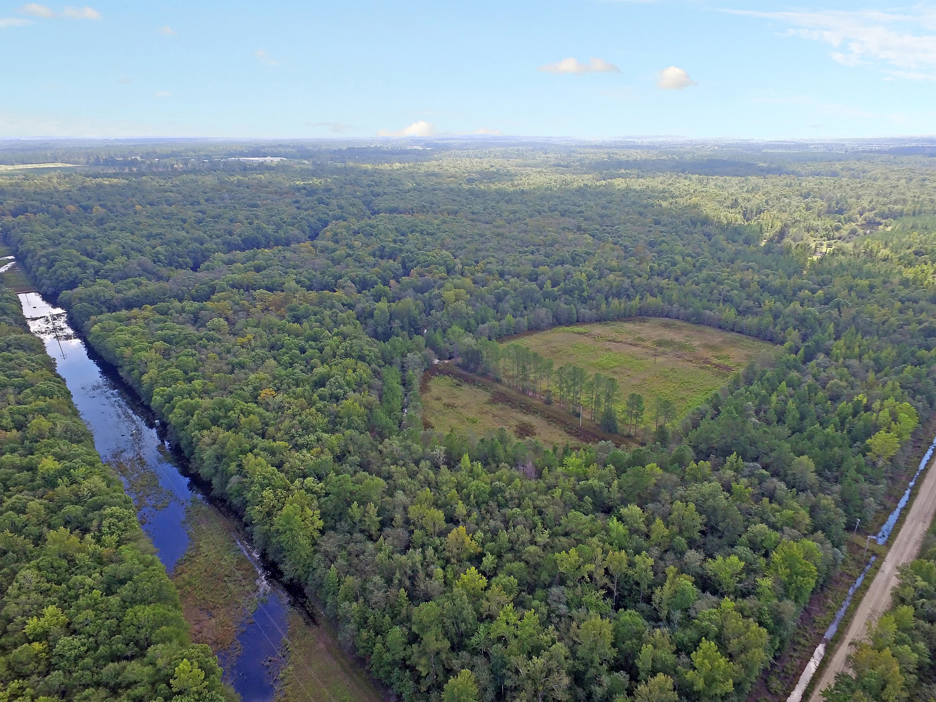 505 Dutch Neck Road Kingstree, SC 29556 - Photo 9 of 28 Dove Hunting Field