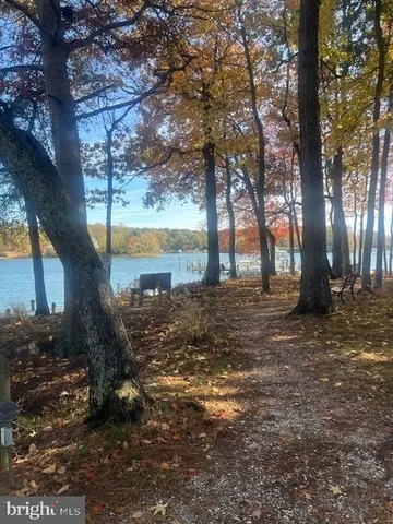 a view of a backyard with lawn chairs