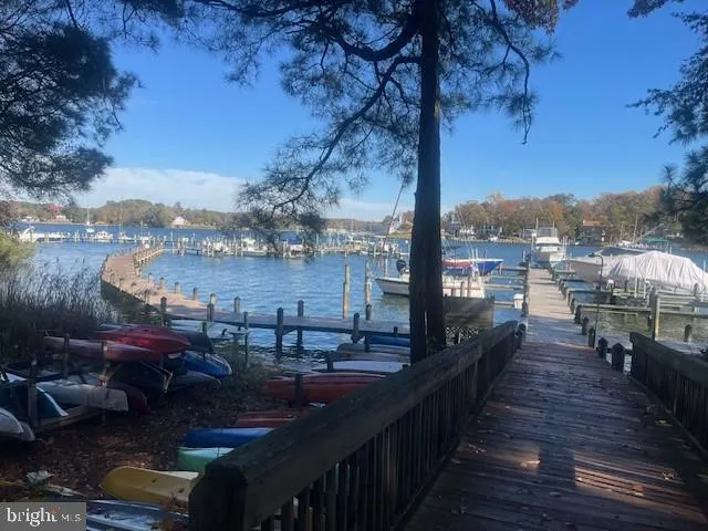 a view of a yard with plants and trees