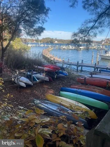 a view of a lake with a large trees