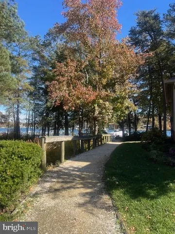 a view of a yard with plants and a large tree