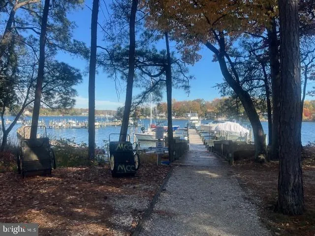 a view of a lake with a yard