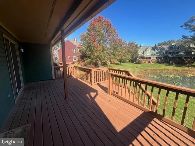 a view of a flower in a garden near a lake