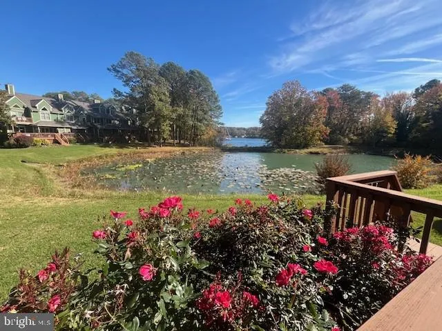 a view of outdoor space