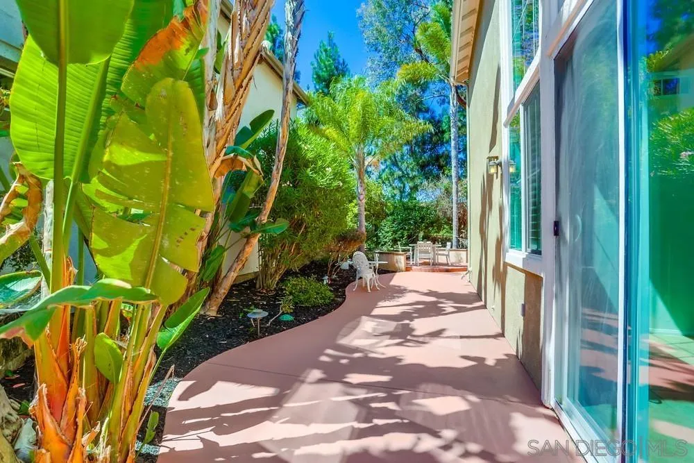 5423 Foxtail Loop Carlsbad, CA 92010 - Photo 50 of 53 a view of a pathway with plants and large trees
