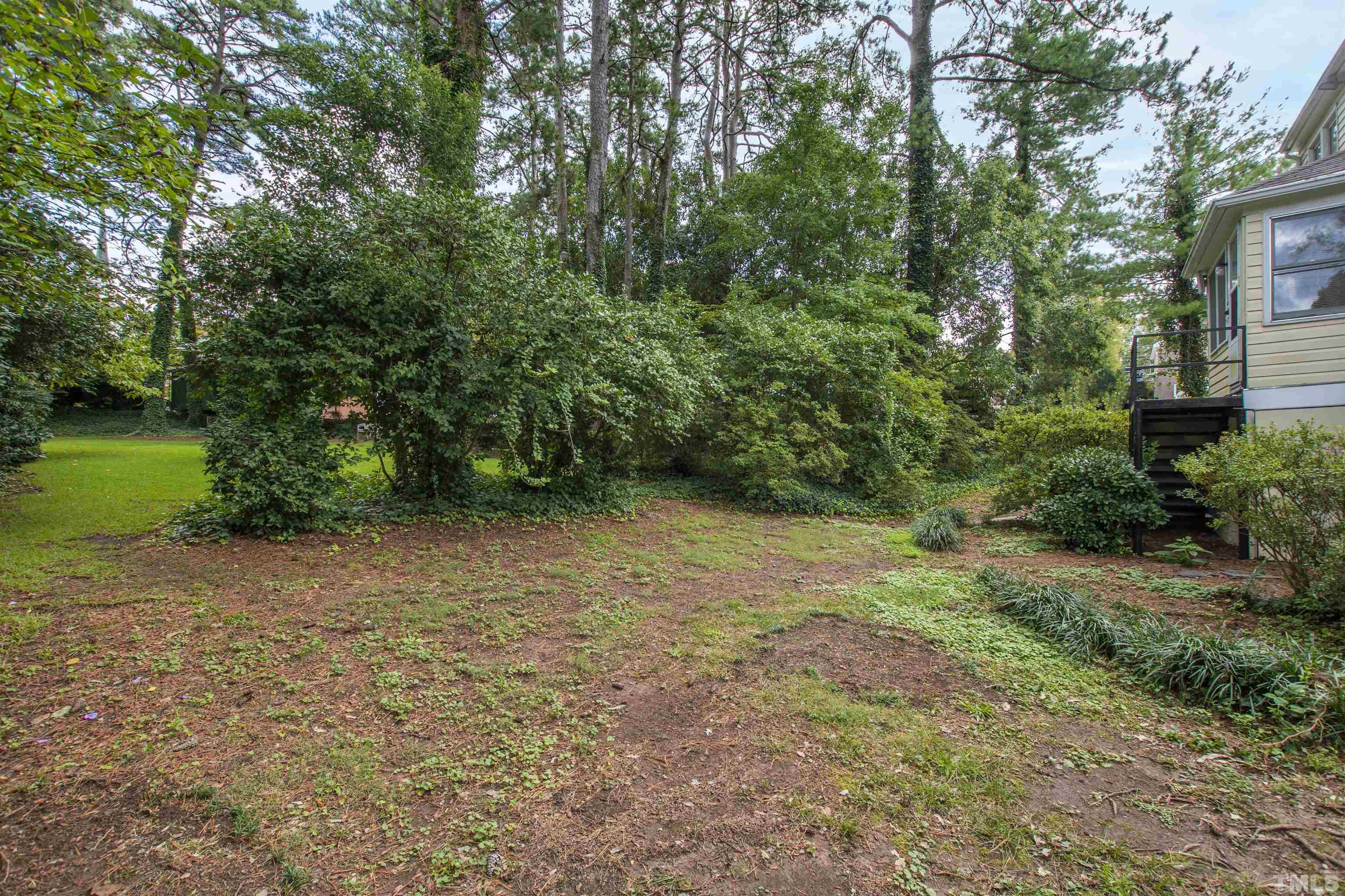 110 Shepherd Street Raleigh, NC 27607 - Photo 11 of 41 a view of a yard with plants and large trees