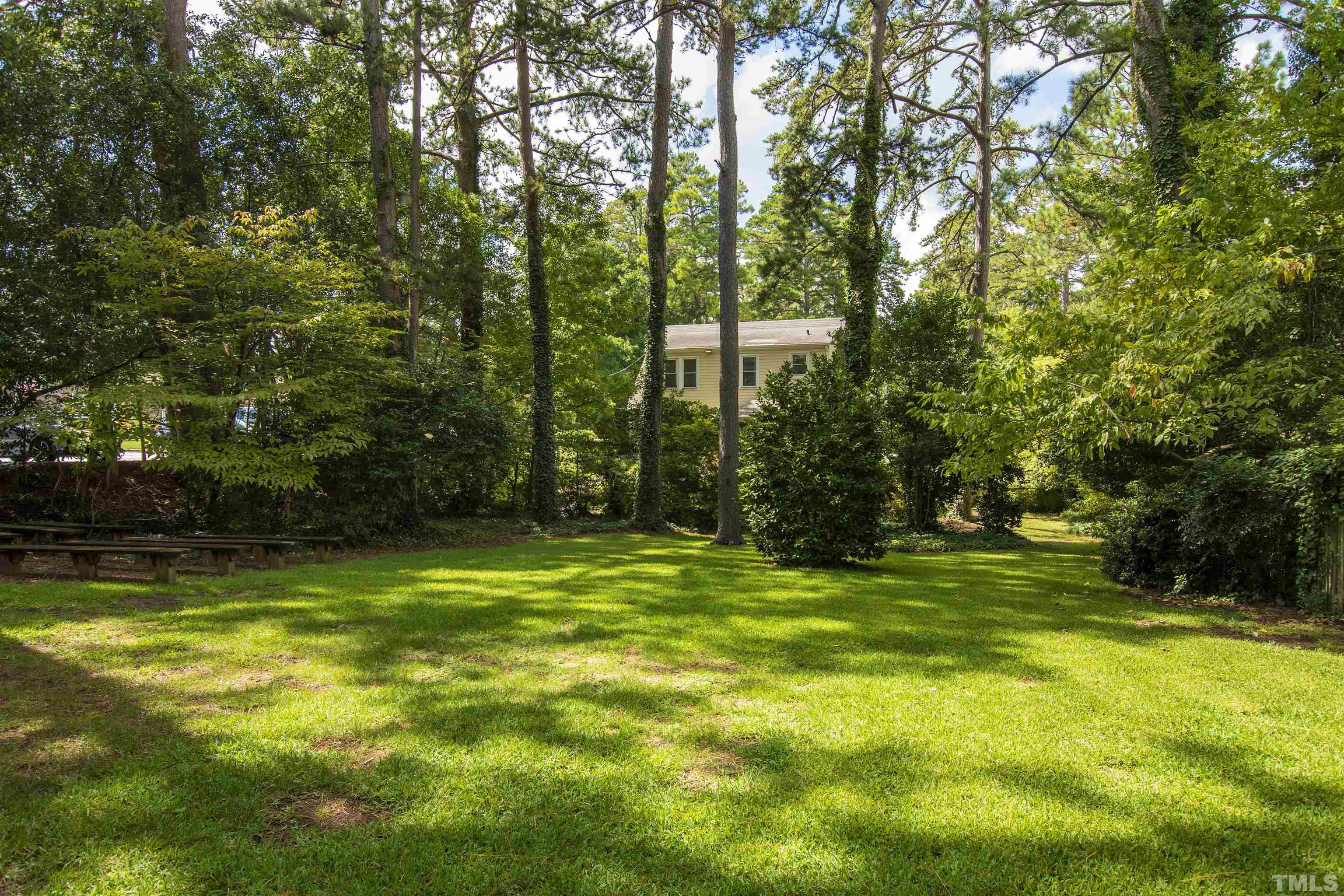 110 Shepherd Street Raleigh, NC 27607 - Photo 10 of 41 a view of a trees in a yard