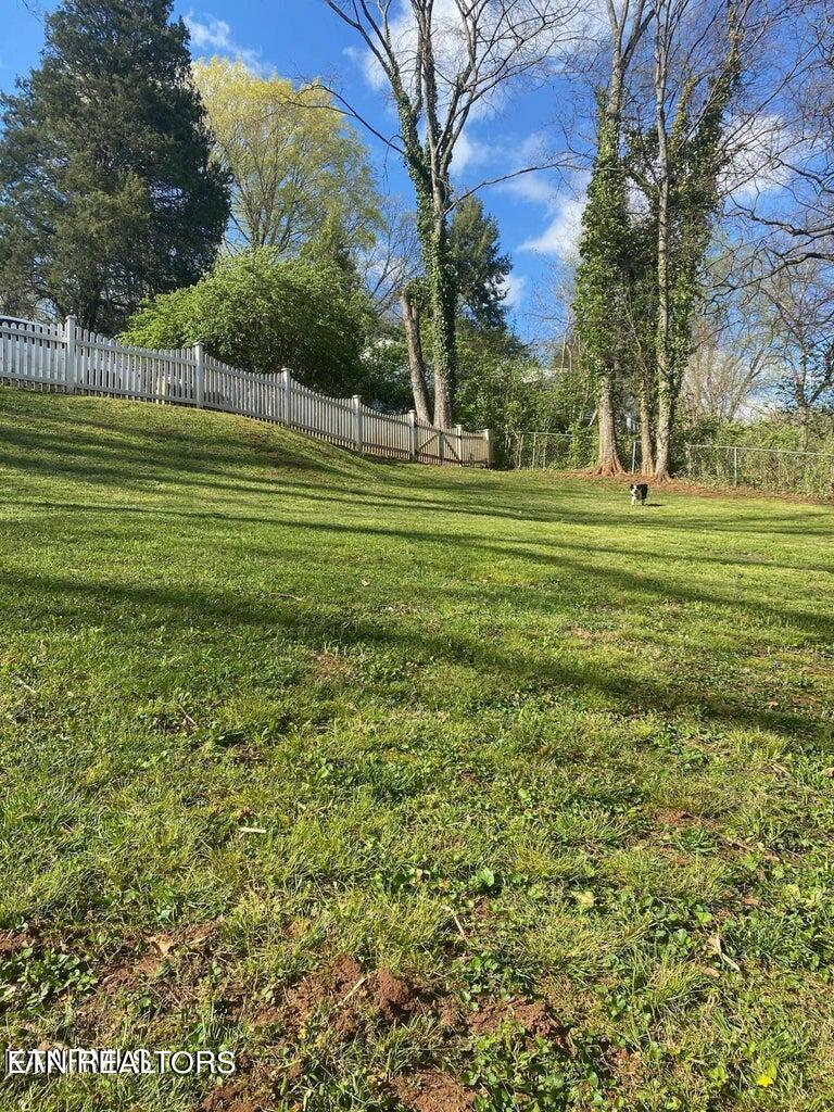 1610 Duncan Road Knoxville, TN 37919 - Photo 28 of 30 Duncan Back yard 1