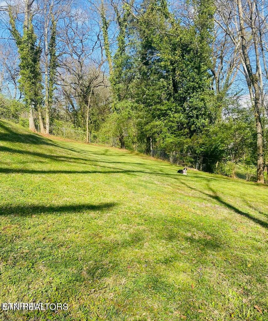 1610 Duncan Road Knoxville, TN 37919 - Photo 29 of 30 Duncan Back yard 2