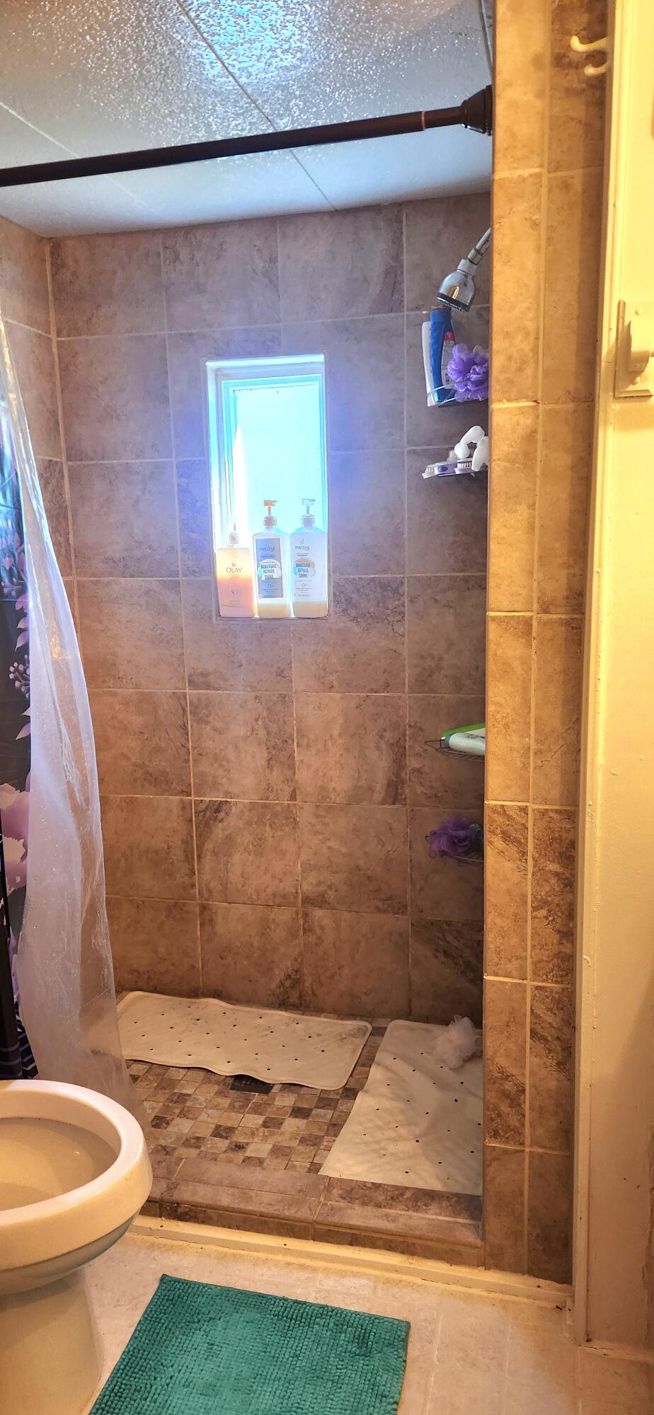 668 Pico Road Buchanan, VA 24066 - Photo 10 of 13 a bathroom with a toilet and a shower