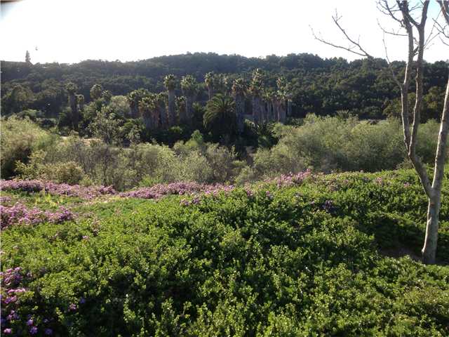 438 Hidden Trails Road Escondido, CA 92027 - Photo 16 of 16 VIEWS from any spot on the property
