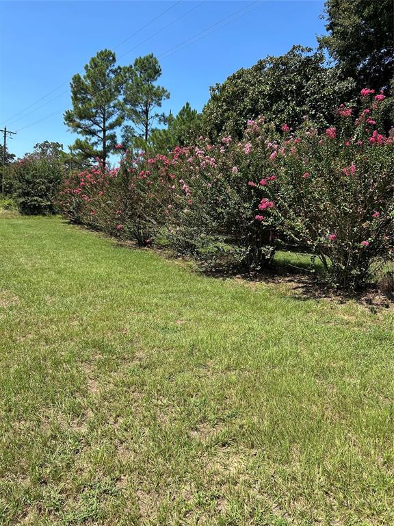 4546 Farm To Market 515 Quitman, TX 75783 - Photo 13 of 17 a view of a bunch of trees and bushes