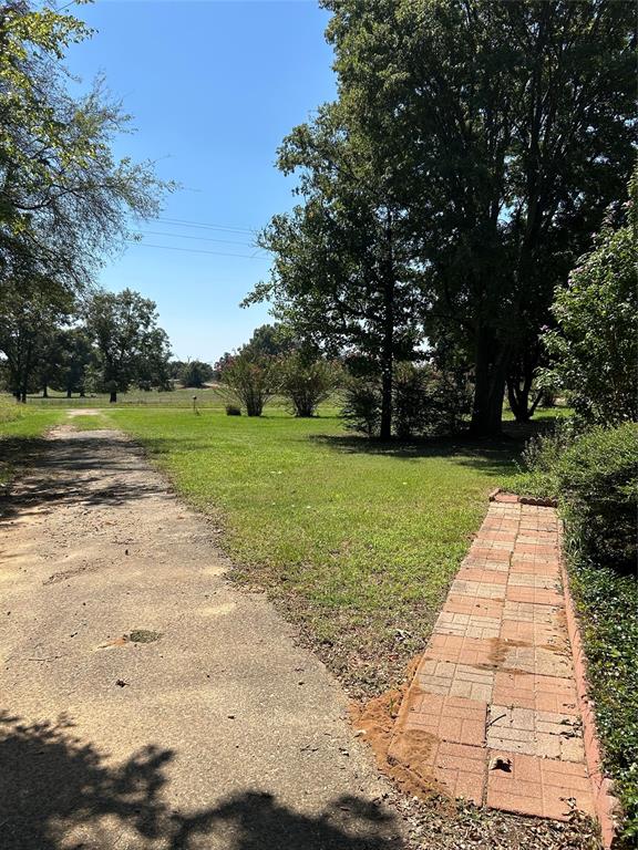 4546 Farm To Market 515 Quitman, TX 75783 - Photo 17 of 17 a view of a park with large trees