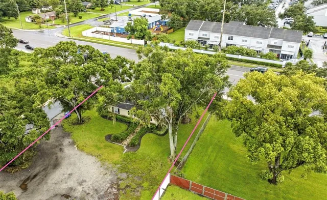 a view of a small yard with large trees