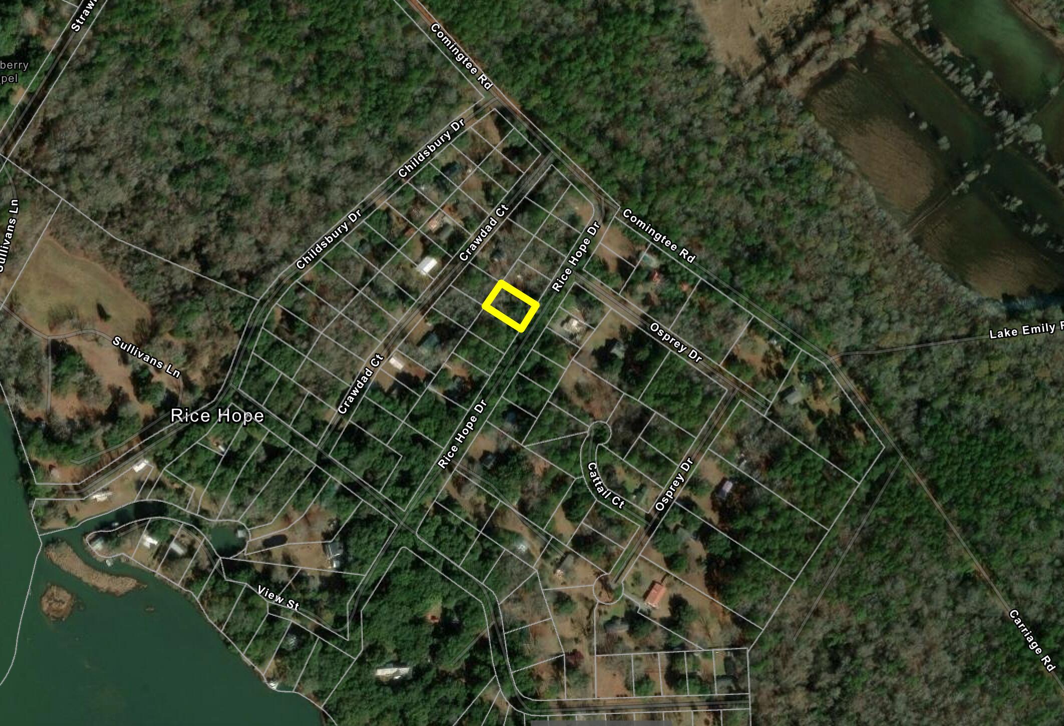 118 Rice Hope Drive Moncks Corner, SC 29461 - Photo 1 of 7 Aerial 1