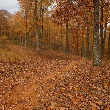 $95,000 | 0 Overlook Trail, Stewart, TN 37175
