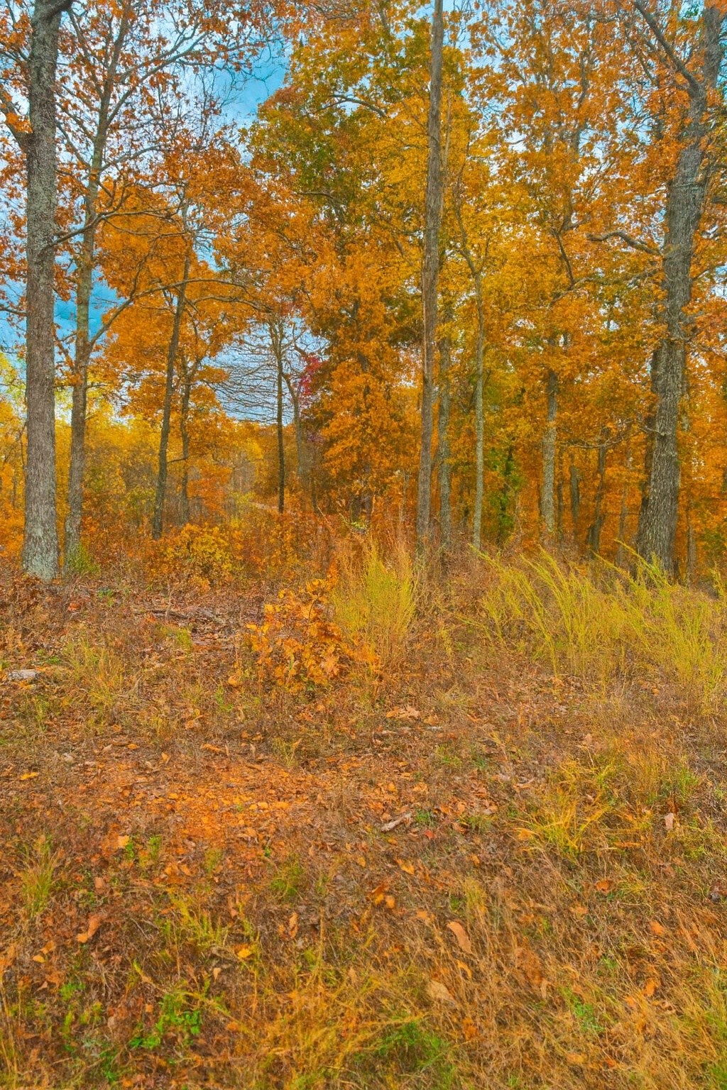 0 Overlook Trail Stewart, TN 37175 - Photo 4 of 20