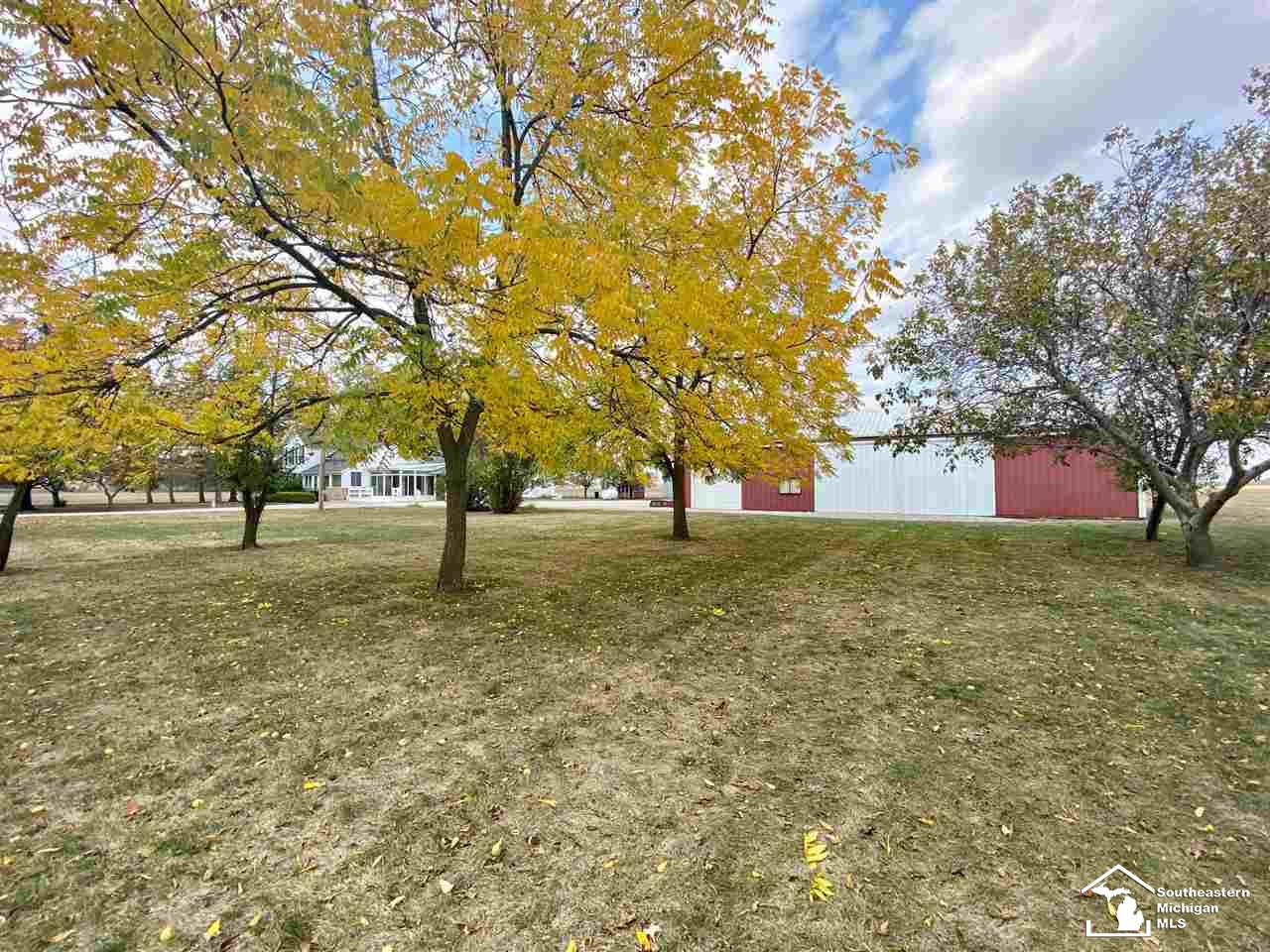 13456 Simpson Road Blissfield, MI 49228 - Photo 4 of 53