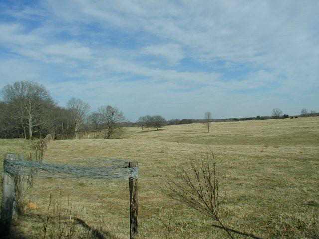 519 Opry House Road Starr, SC 29684 - Photo 5 of 9 Gallery Image 5