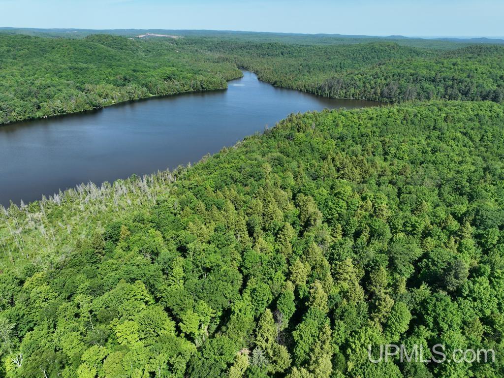 0 County Road 553 Road Marquette, MI 49855 - Photo 15 of 38