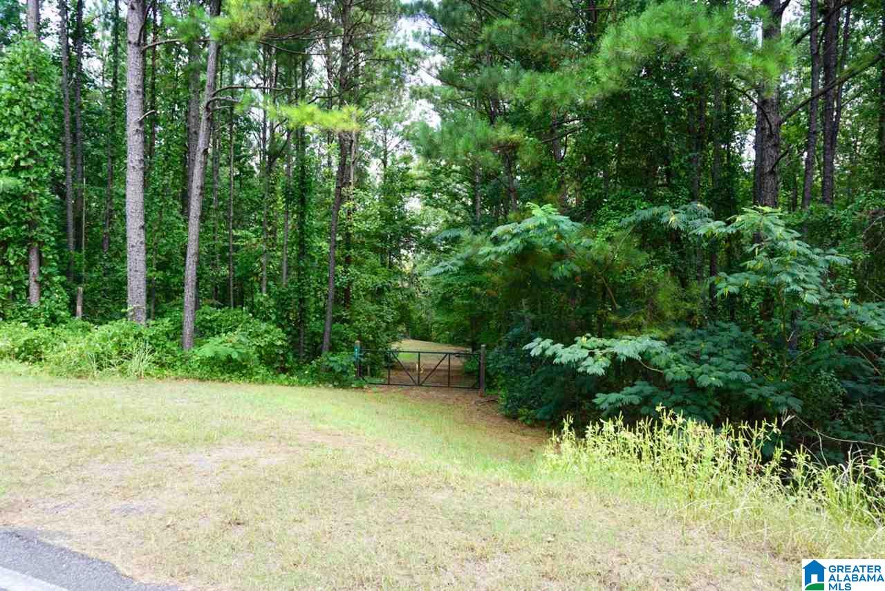 893 Old Patton Ferry Road, Unit 2 Adger, AL 35006 - Photo 2 of 9