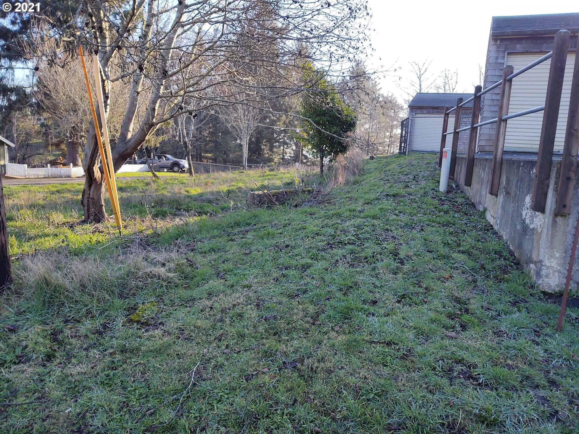 a view of backyard with tree