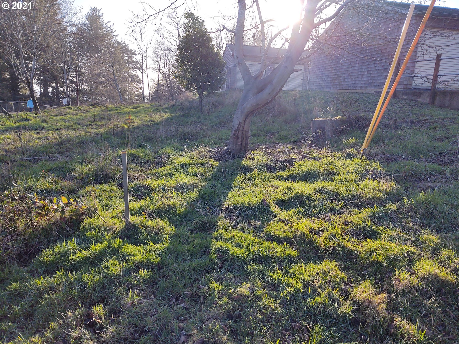 Netarts Highway Tillamook, OR 97141 - Photo 4 of 9 a backyard of a house with lots of green space