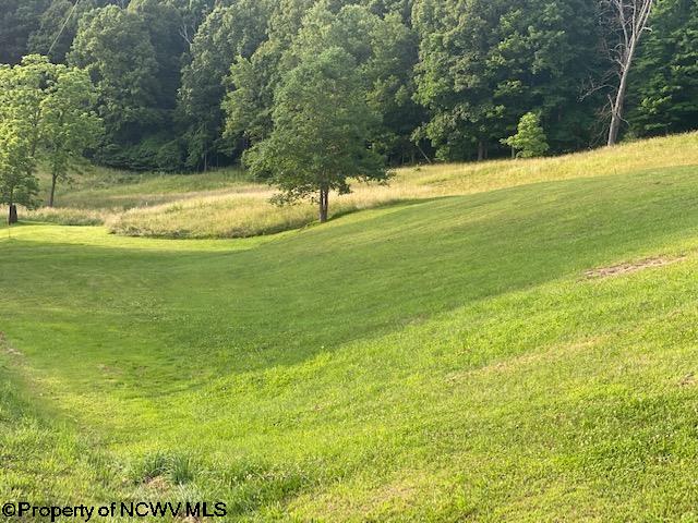 317 Cherokee Hills Road Camden, WV 26338 - Photo 4 of 22 Gallery Image 4