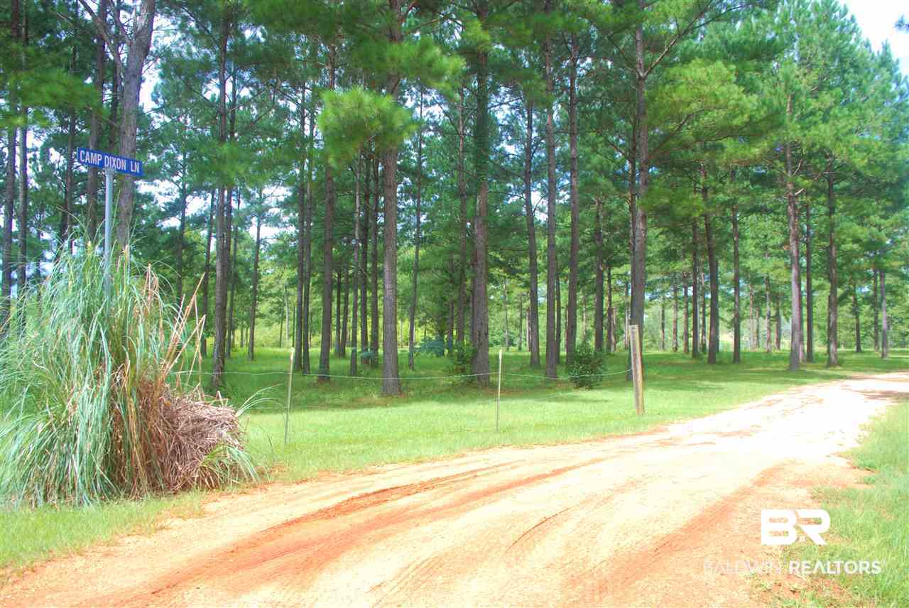 249 Camp Dixon Road Brewton, AL 36426 - Photo 30 of 48