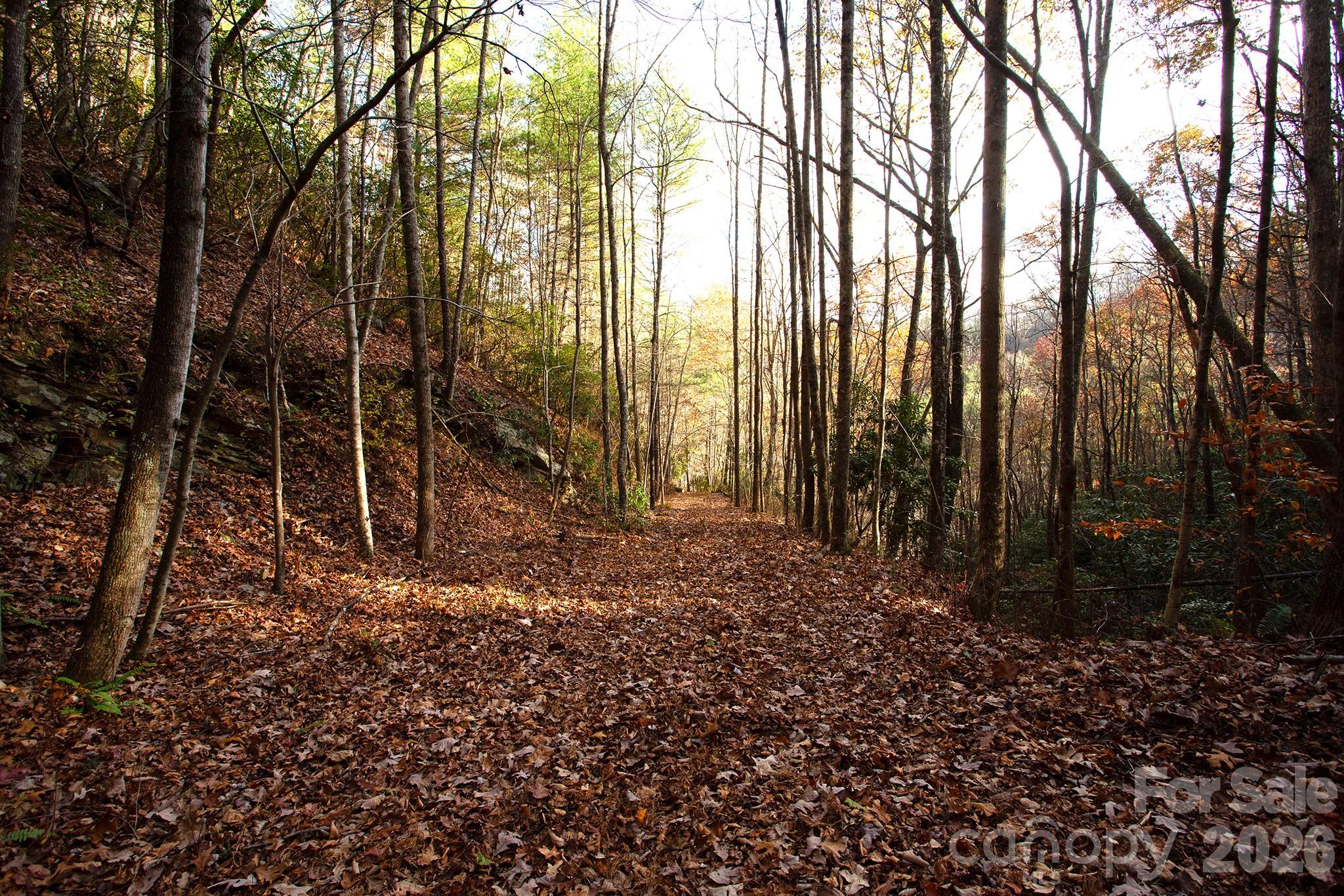 Tbd Tbd Rector Branch Road, Unit 4 Marshall, NC 28753 - Photo 2 of 8 a backyard of a house with lots of green space
