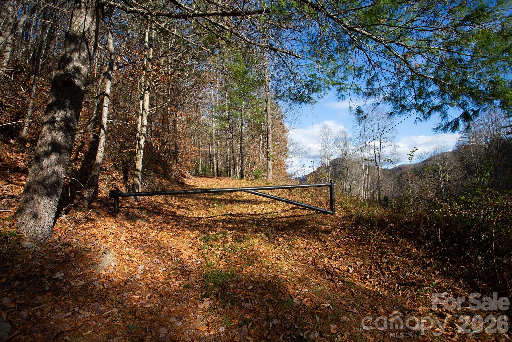 Tbd Tbd Rector Branch Road, Unit 4 Marshall, NC 28753 - Photo 5 of 8 a view of a house with a yard