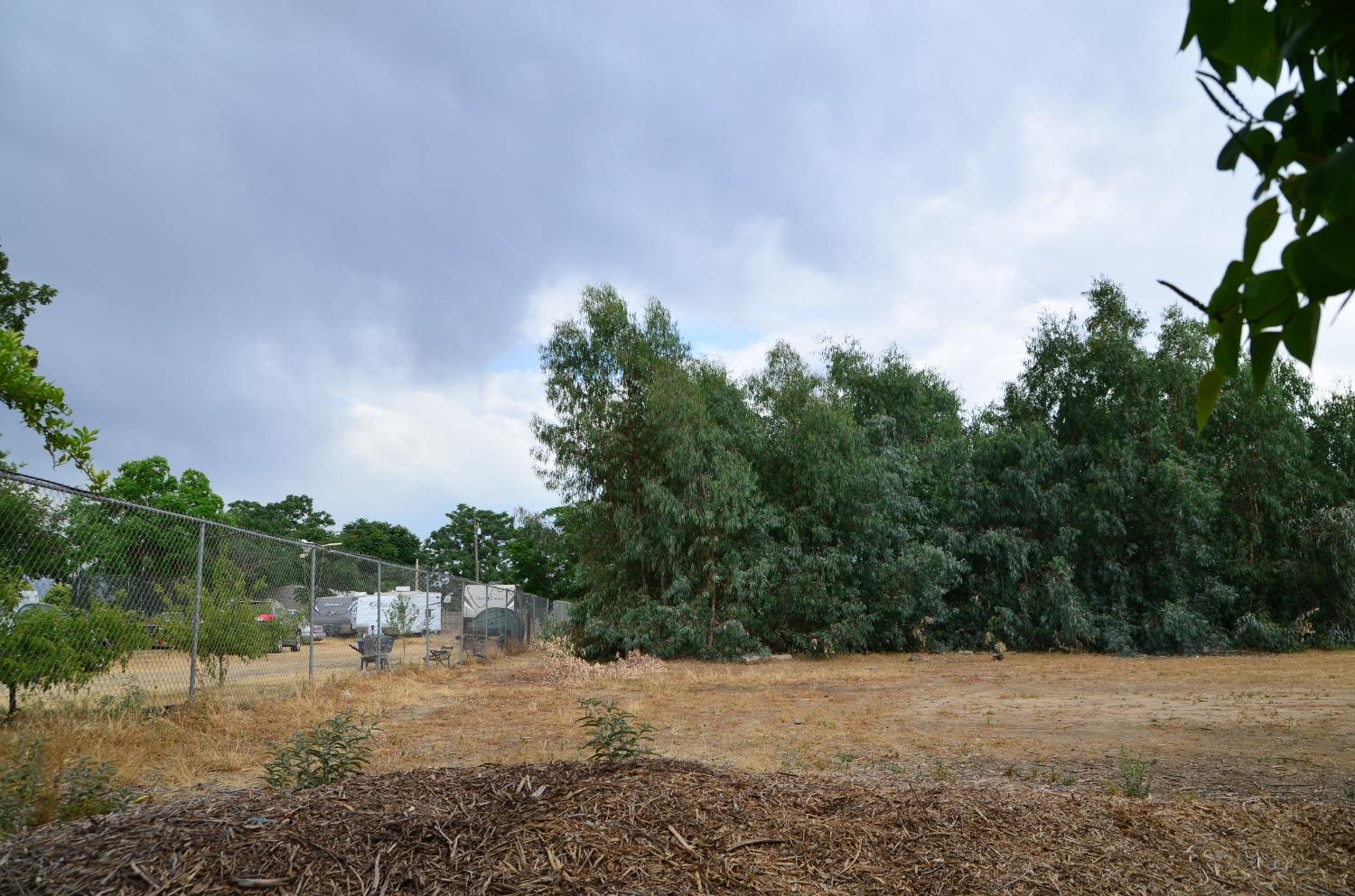 10888 Ave 412 Dinuba, CA 93618 - Photo 7 of 15 a view of a yard with a tree