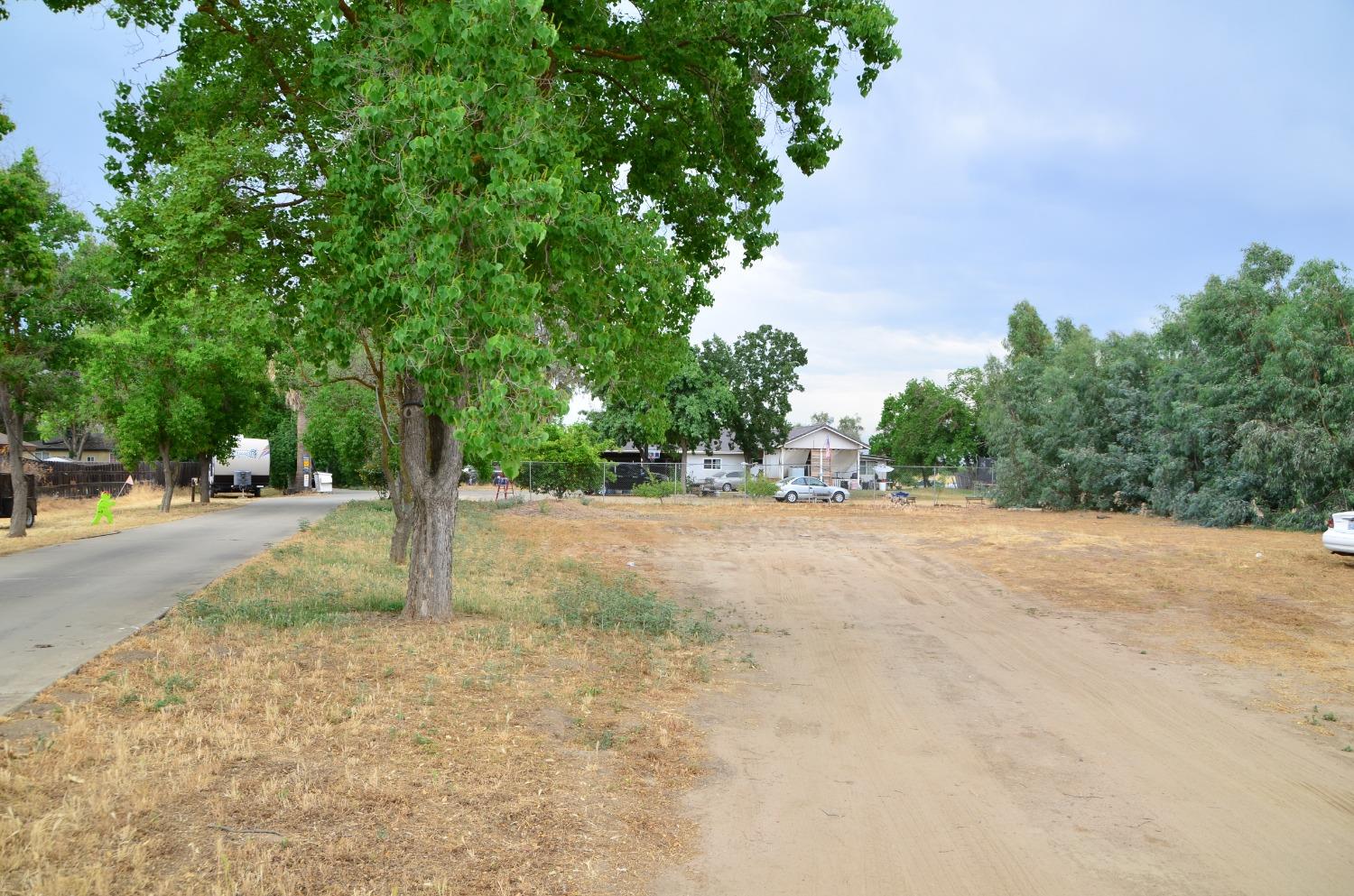 10888 Ave 412 Dinuba, CA 93618 - Photo 8 of 15 a view of a tree in the middle of a yard