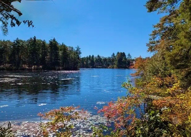 8 Shore Line Drive Hudson, MA 01749 - Photo 10 of 10