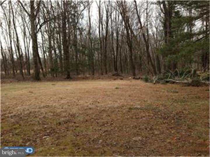 4666 Province Line Road Princeton, NJ 08540 - Photo 11 of 14 Back Yard