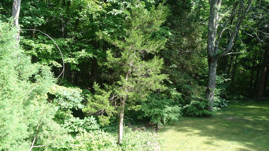 217 W Road Petersham, MA 01366 - Photo 11 of 11