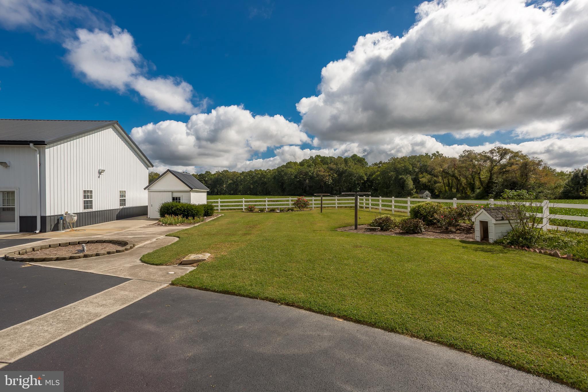 7751 Dividing Creek Road Pocomoke City, MD 21851 - Photo 14 of 51 a view of a backyard
