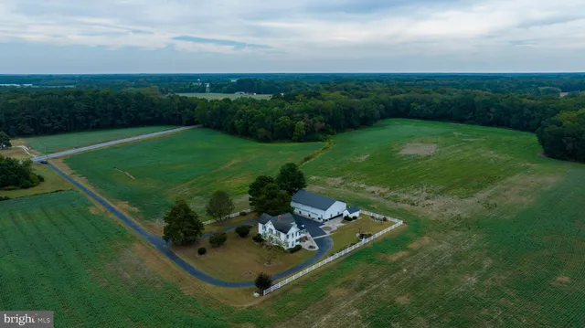 a view of a backyard with plants and large trees