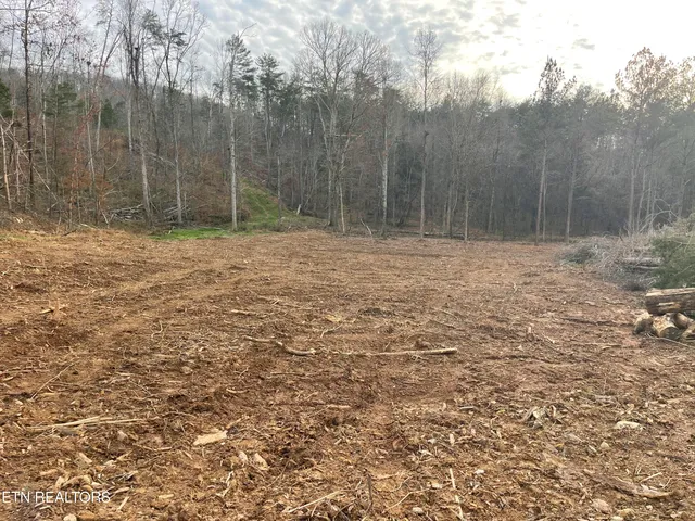 $64,900 | 1.50-acres Robbies Lane, Decatur, TN 37322