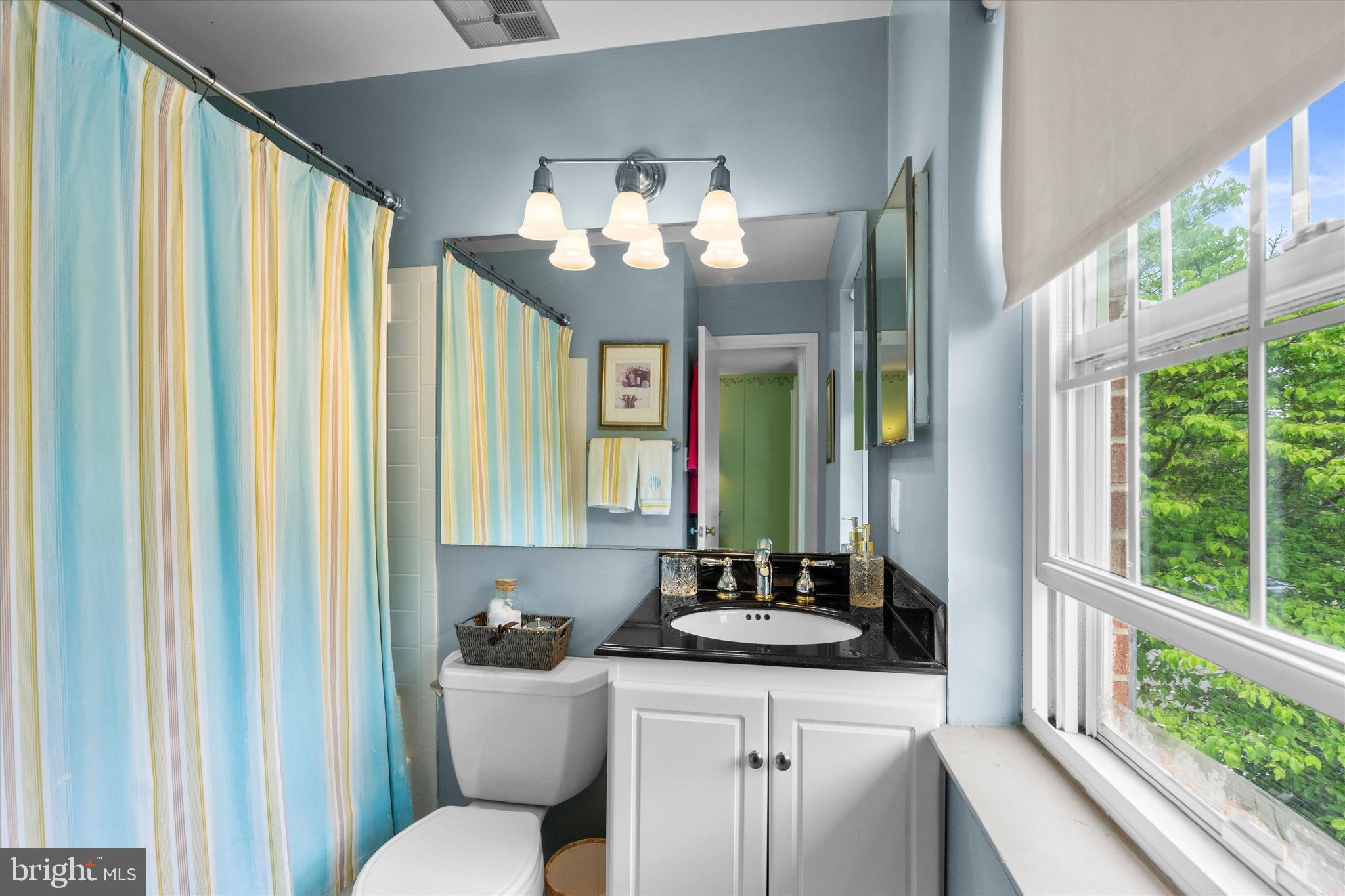 5504 Winford Court Fairfax, VA 22032 - Photo 29 of 61 a bathroom with a sink and a mirror