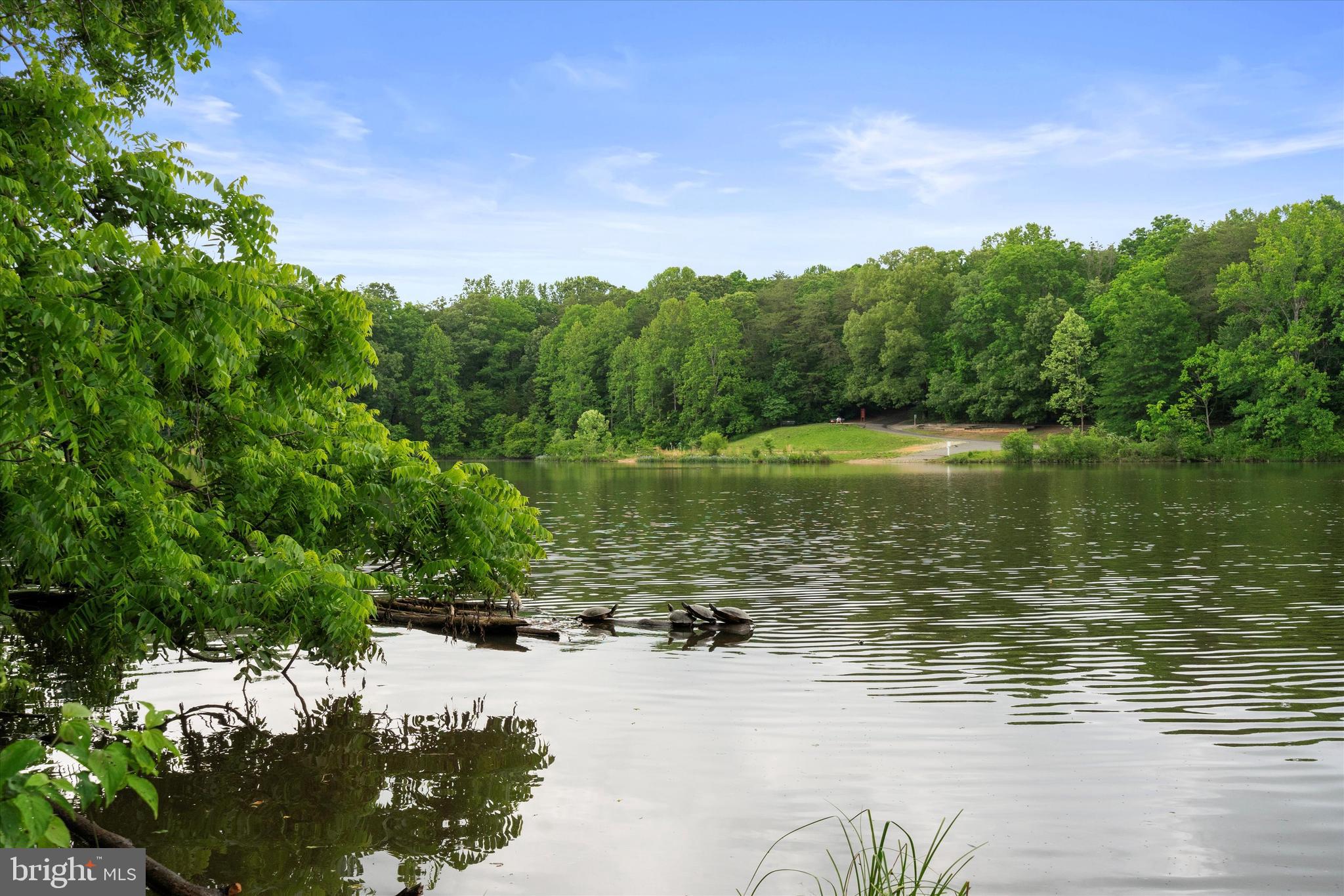 5504 Winford Court Fairfax, VA 22032 - Photo 52 of 61 a view of a lake with a yard