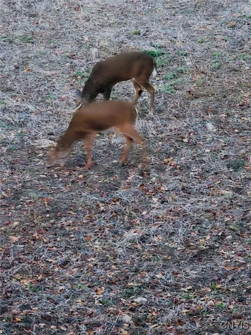 $349,900 | 5691 Ike Dixon Road, Camillus, NY 13031