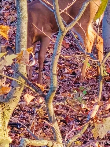 $349,900 | 5691 Ike Dixon Road, Camillus, NY 13031