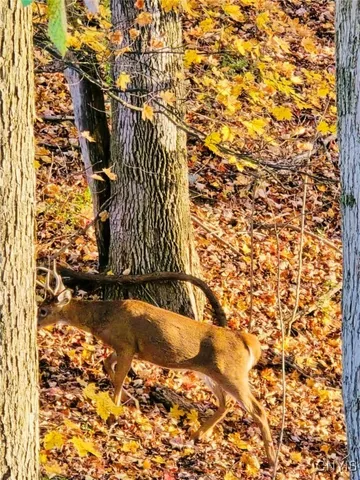 $349,900 | 5691 Ike Dixon Road, Camillus, NY 13031