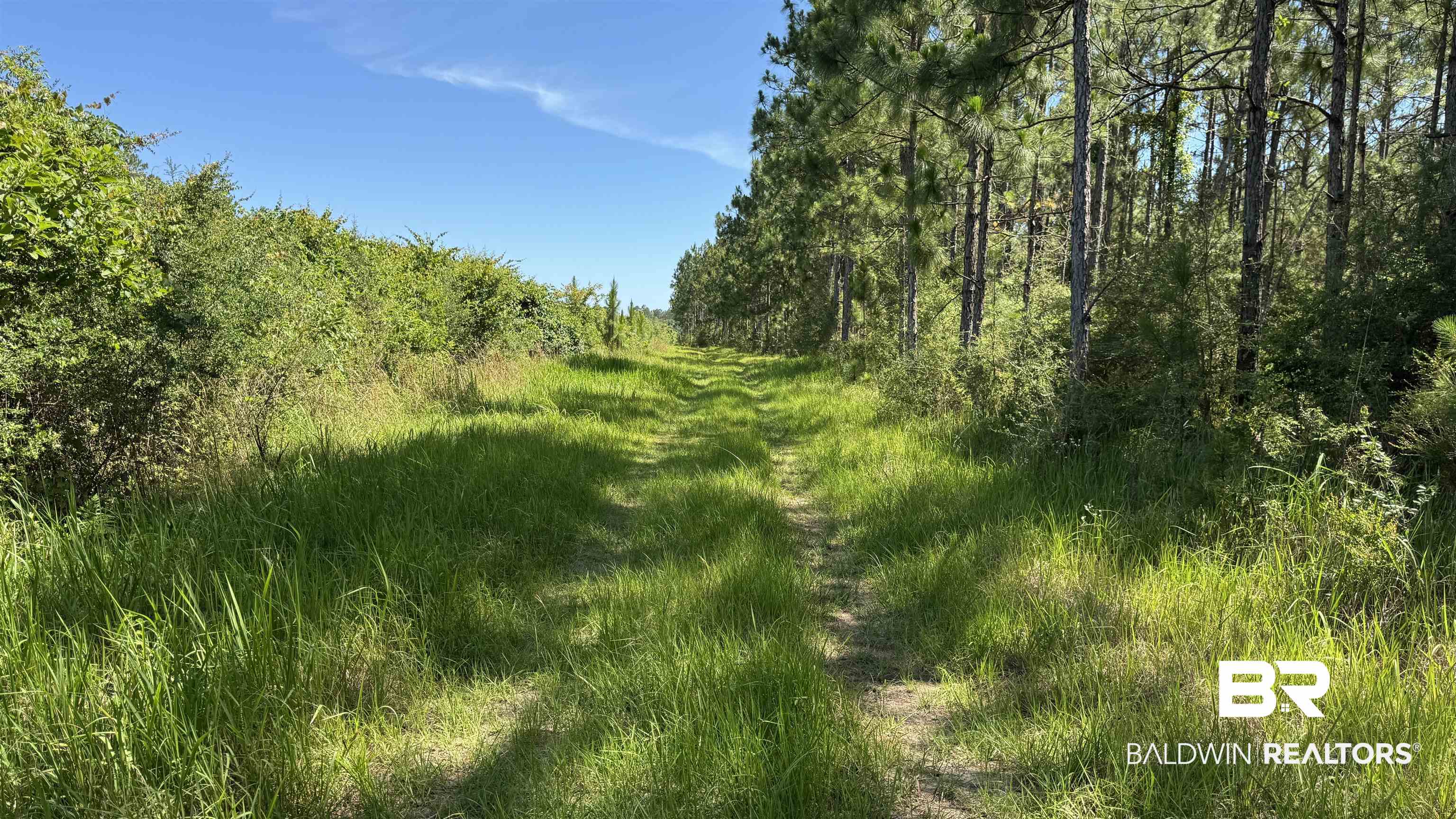 0 County Road 87 Elberta, AL 36530 - Photo 28 of 46