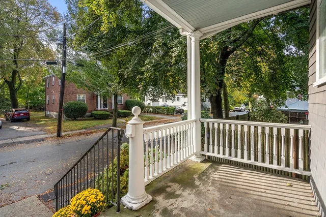 a view of a park with large trees