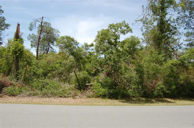 a view of a yard from a window